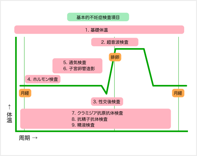 画像に alt 属性が指定されていません。ファイル名: %E4%B8%8D%E5%A6%8A%E7%97%87%E3%80%80%E6%A4%9C%E6%9F%BB.jpg